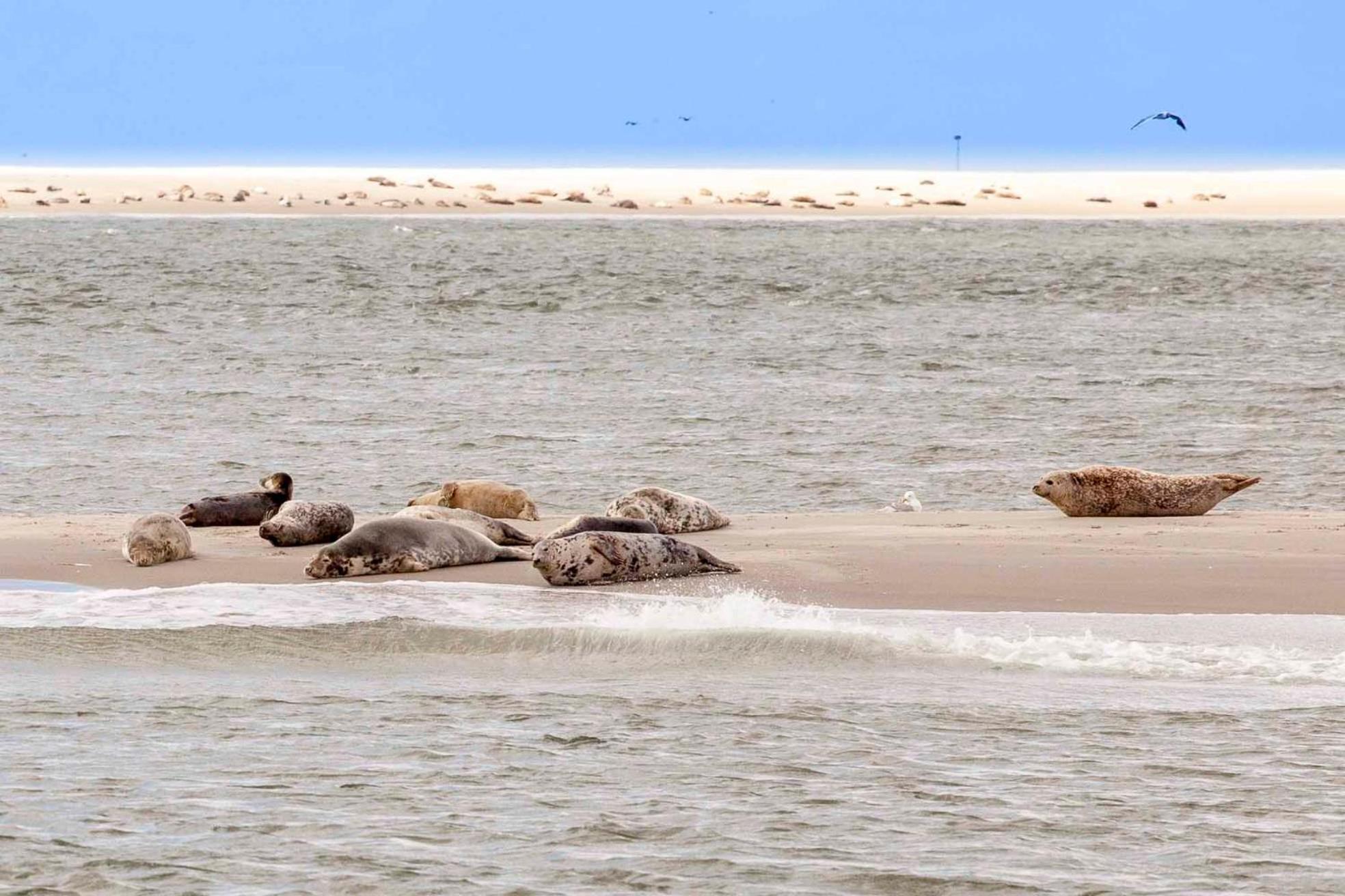 Vakantiehuisje Kei 2 Personen - Zeezand Recreatie Stolpen Esterno foto