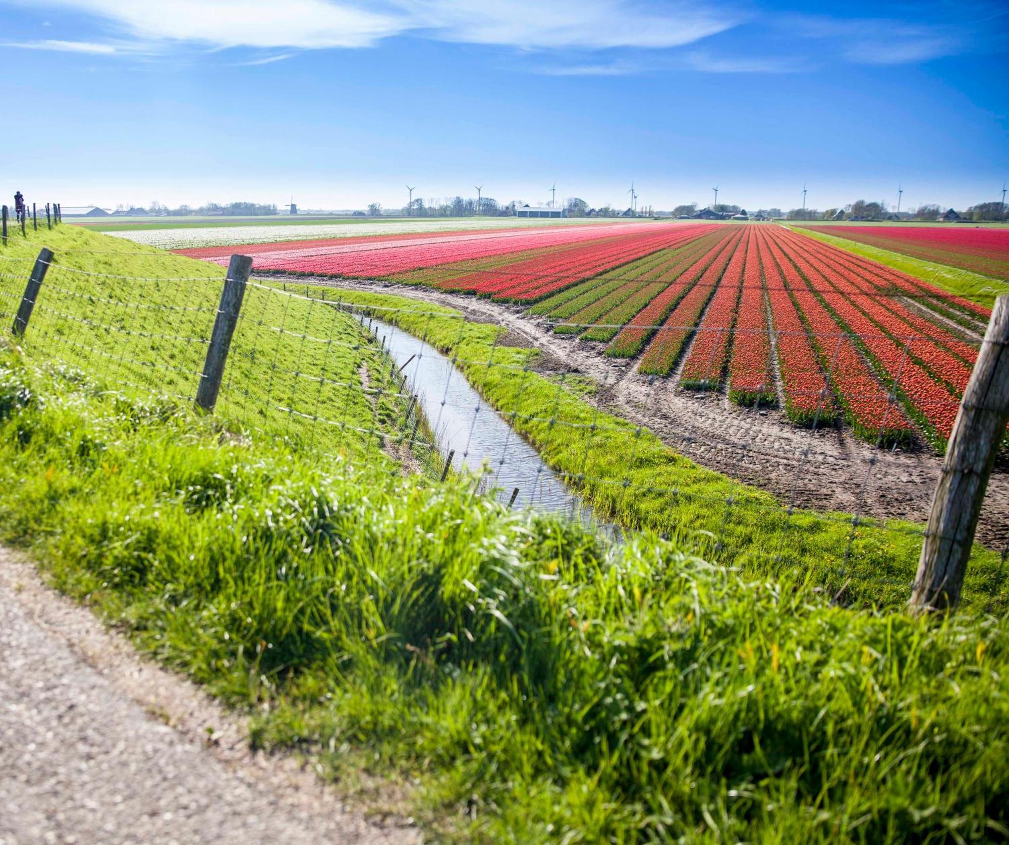 Vakantiehuisje Kei 2 Personen - Zeezand Recreatie Stolpen Esterno foto